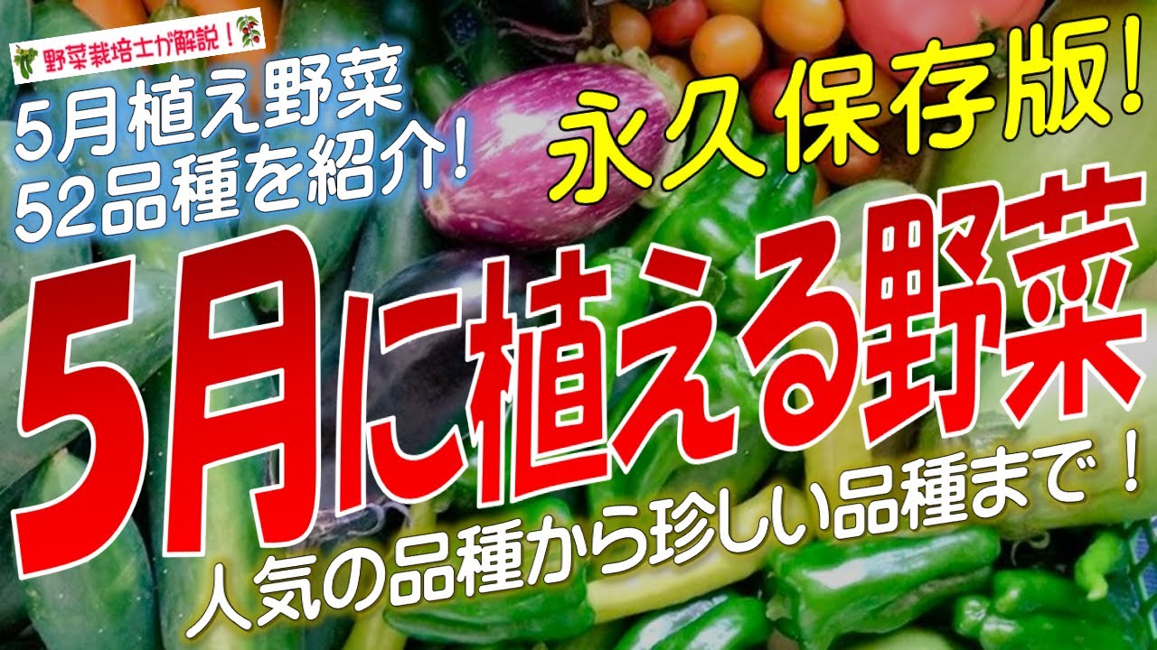 野菜作りの実際 新 野菜つくりの実際第2版 全7巻セット』川城英夫編 - 田舎の本屋さん