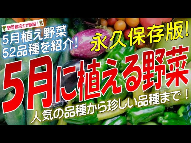 5月に植える野菜（52品種）永久保存版 - YouTube
