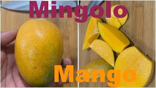 Mingolo Mango From The Dominican Republic