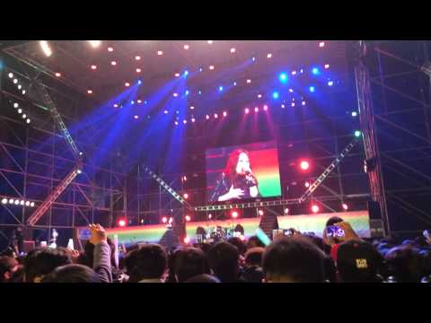 2013-2014嘉義跨年-戴愛玲