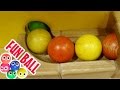 Indoor playground play Kugelbahn collection