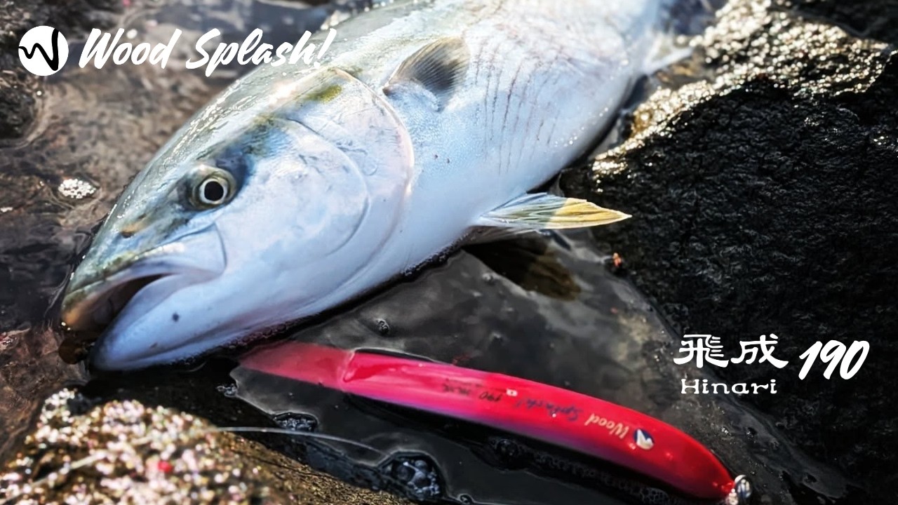ウッドスプラッシュ 飛成190 Wood Splash! | ウッドスプラッシュ！