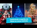 Por Dentro da Colmeia #25 - Celebrando o espírito natalino na nossa colmeia