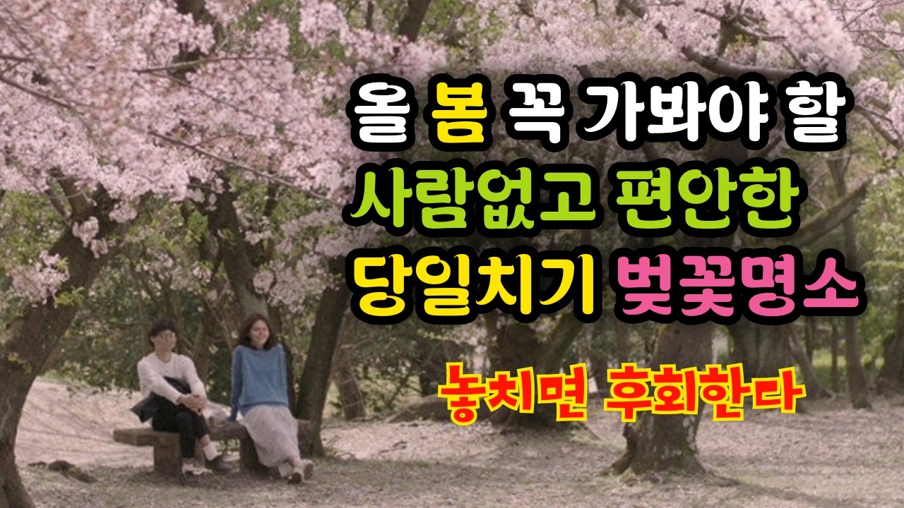 올 봄 꼭 가봐야 할 사람없고 편안한 당일치기 벚꽃명소 