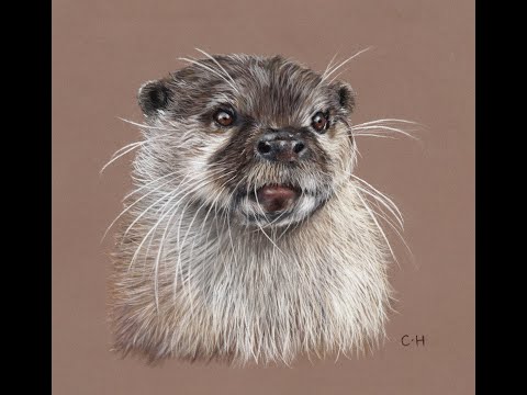 Oliver the Otter - Pastels & Pastel Pencil Tutorial - Part 1