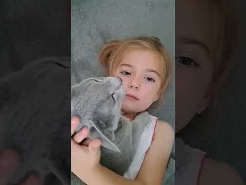 Cute girl 😀 Russian blue cat 🐈