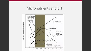 Week 10 -  Micronutrient Overview  (ENR 5270)