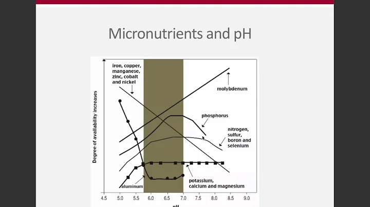 Week 10 -  Micronutrient Overview  (ENR 5270)