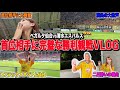 【大興奮】首位に見事な勝利!!!満員のスタジアムで二日酔い観戦は最高すぎた!!!!!!!!
