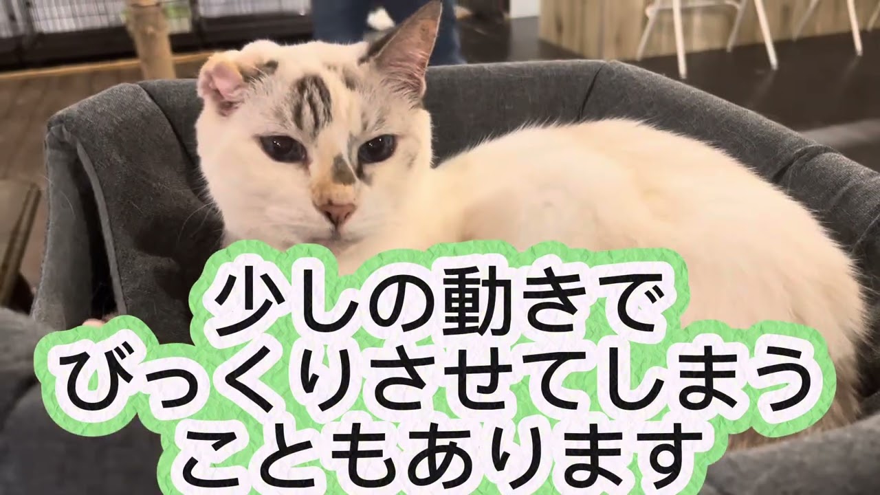 9月22日(月)