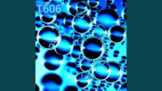 T606