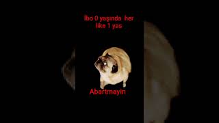 İbo kaç yaşında?