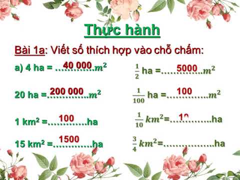 Tuần 6- Toán - Bài héc ta
