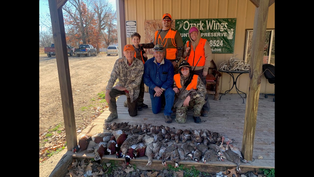 Upland Hunting Ozark Wings Missouri (AMAZING HUNT!!!) YouTube