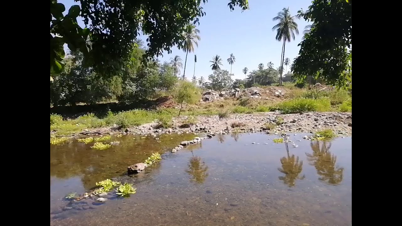 Balneario El CHARCO VERDE Cofradía de Juárez armería