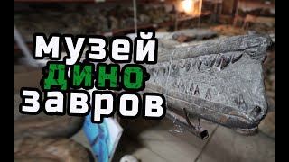 Самый большой музей палеонтологии в России.