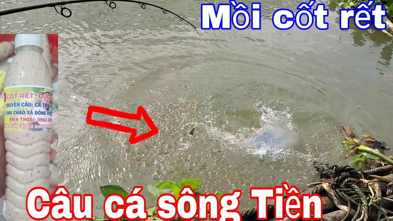 Mồi Cốt Rết, Câu cá Sông Tiền, Dính Cá Basa Dồ Đém Phát mê