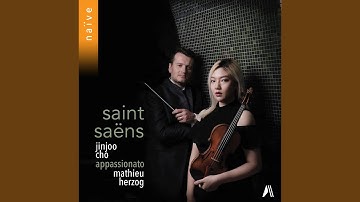 Violin Concerto No. 3 in B Minor, Op. 61: II. Andantino quasi allegretto