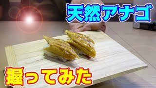 釣った天然アナゴをお寿司にして寿司パーティー！！