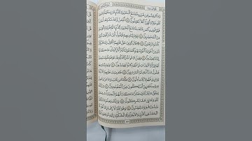 آيات من القرآن الكريم سورة القصص #coran #quran #قران_كريم #قرآن