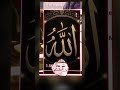 সবাই একটু সাপোর্ট করবেন পিলিজ ❤️‍