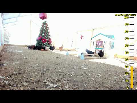 How To Lose Weight Fast When You