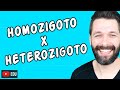 HOMOZIGOTO E HETEROZIGOTO - DIFERENÇAS - Genética | Biologia com Samuel Cunha