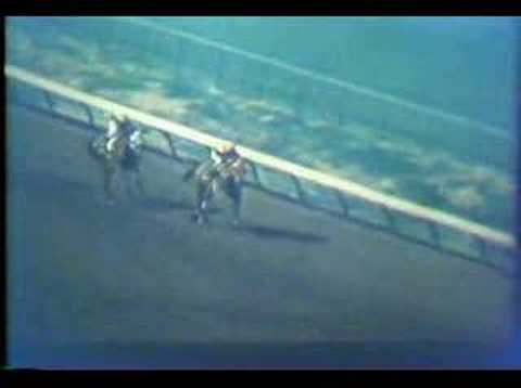 Convenience vs. Typecast Match Race at Hollywood Park