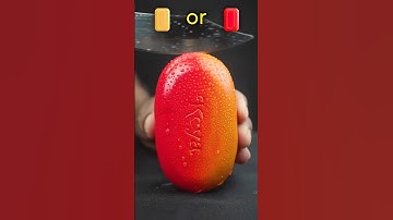 Kun jij raden wat er daarna gebeurt?🤔 #shorts 🇺🇲