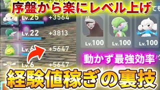 最終値下げ LEVEL レヴェル 15ポンド mqdefault.jpg