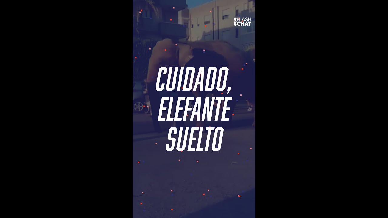 Cuidado, elefante suelto + CAMBIO CLIMÁTICO + CFK A CUBA #FlashChat cristina kirchner vice