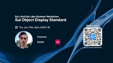 Sui Object Display Standard