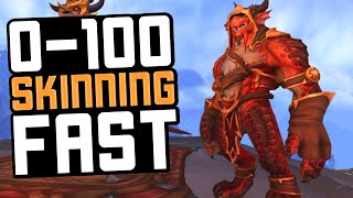 LEVEL SKINNING FAST - Dragonflight
