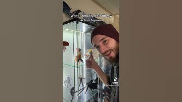 What Everyone Else Who Isn’t An Action Figure Collector Thinks What I Do With My Figures