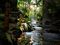 Deep Sleep Therapy with Natural Sounds 🌿 Stress Relief, Insomnia & Focus Healing #anxietyrelief