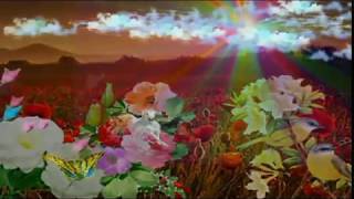 Good Morning My Love,Wishes,Greetings,Sms,Sayings,Quotes,E-card,Wallpapers,Whatsapp video