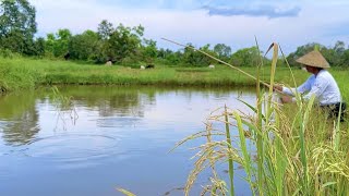 Catching catfish from the pond and cooking it for dinner I Joseph The Explorer