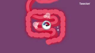 Ontdek Hoe Tasectan Werkt