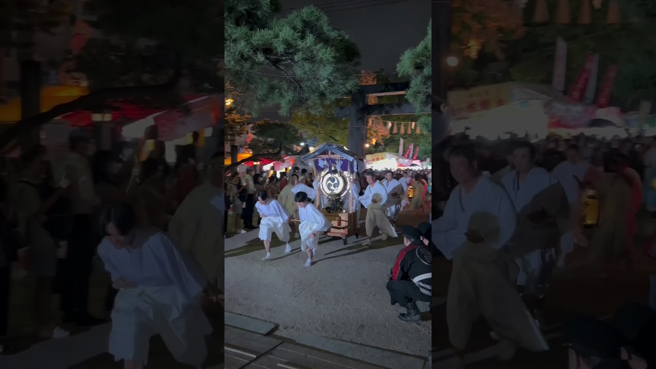 Hojoya Festival Moments🏮筥崎宫の放生会