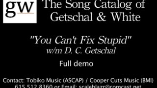 You Can't Fix Stupid lyric video (full demo)