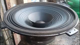 12 Inch Omega 200 Speaker Test Video
