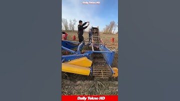 This Carrot Harvester is PEAK Efficiency! 🥕🚜 #ModernFarming