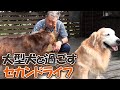 犬好きにはたまらないセカンドライフ