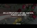 The Chainsmokers; Roses [Traducida al Español]