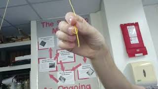 1a Pendulum Lab   Video 1