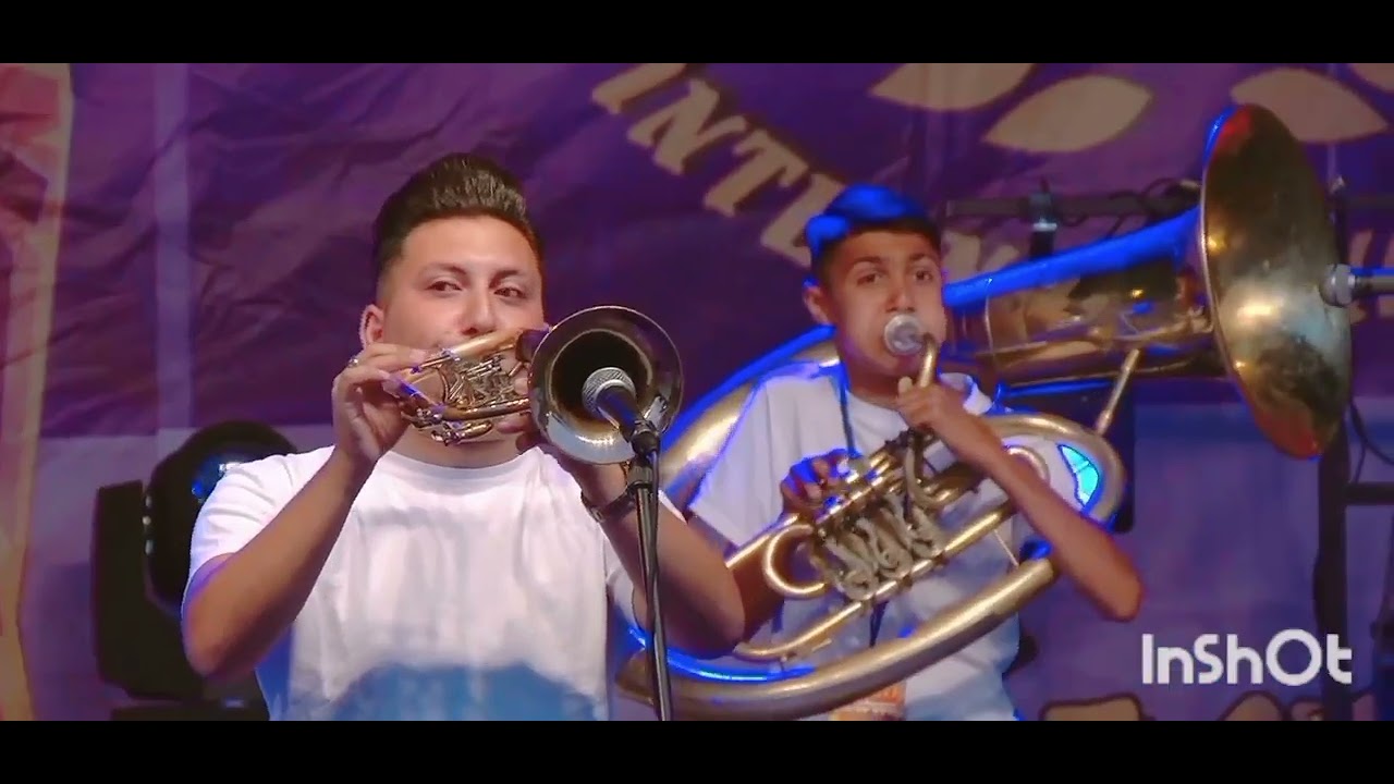 Nisville 2025 Bogdan Nikolic Brass Band 
