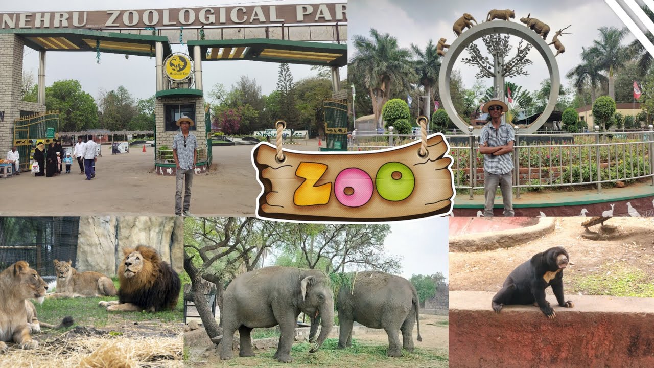Exploring Hyderabad's Wild Side!🤓 |NEHRU ZOOLOGICAL PARK| ..vlog..👹