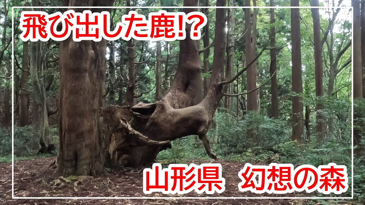 幻想の森【山形県戸沢村】