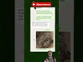 #trendvideo #funnyfeed #lolmoments #humordaily #memeshub #comedyfun #germancontent #deutschcontent