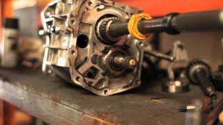 NEW JUNKYARD DOGGS COMMERCIAL